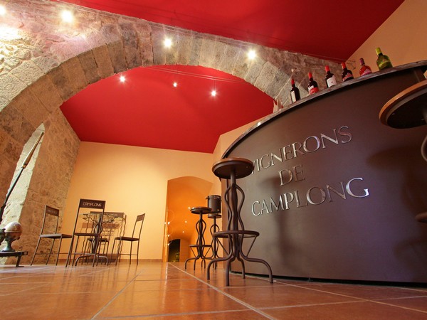 LES VIGNERONS DE CAMPLONS LES VIGNERONS DE CAMPLONS