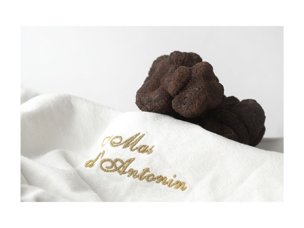 MAS D'ANTONIN - ATELIERS TRUFFE