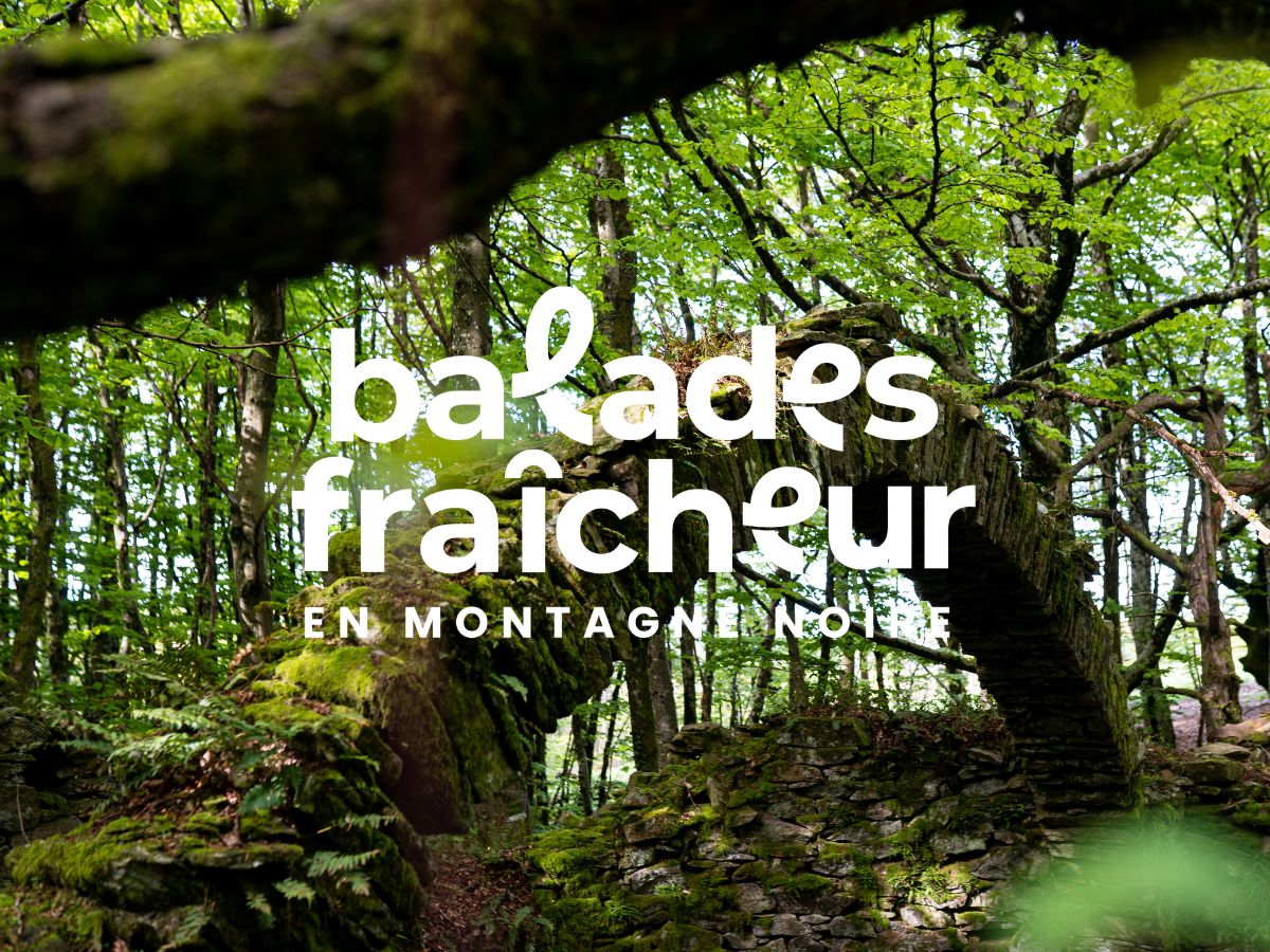 BALADES FRAÎCHEUR - SENTIER DES GLACIÈRES