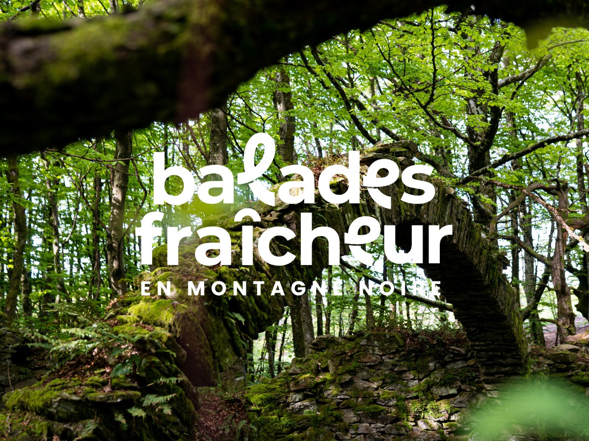 BALADES FRAÎCHEUR - SENTIER DES GLACIÈRES