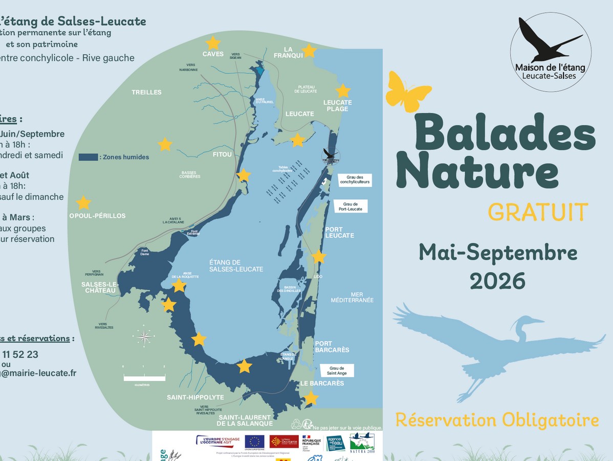 BALADE NATURE : LES OISEAUX DU BÂTI