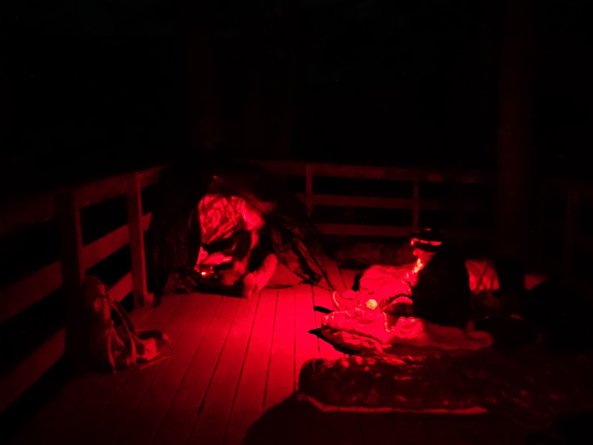 NUIT DU BRAME DU CERF