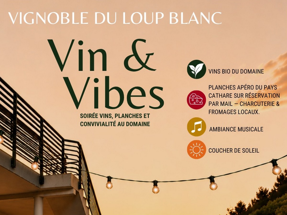 VIN ET VIBES — visuel événement
