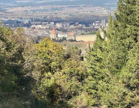 11G2305 - Mas Blanc_1