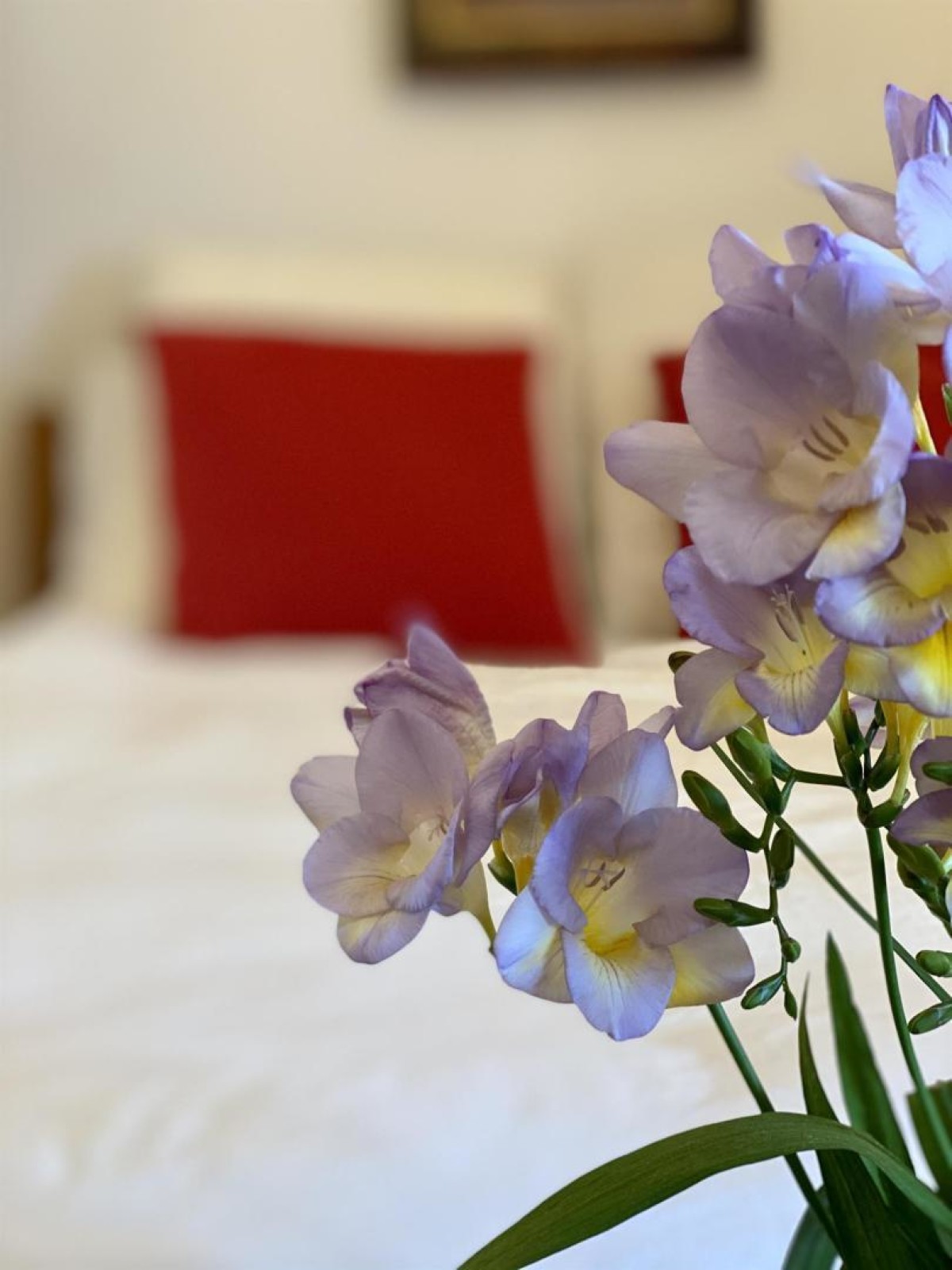 11G3586 - L'ancienne Forge 10 personnes_9