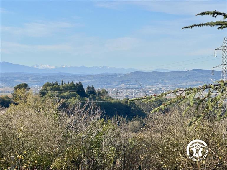 11G900441 Les Ecuries de Sainte-Croix - Céladon_7
