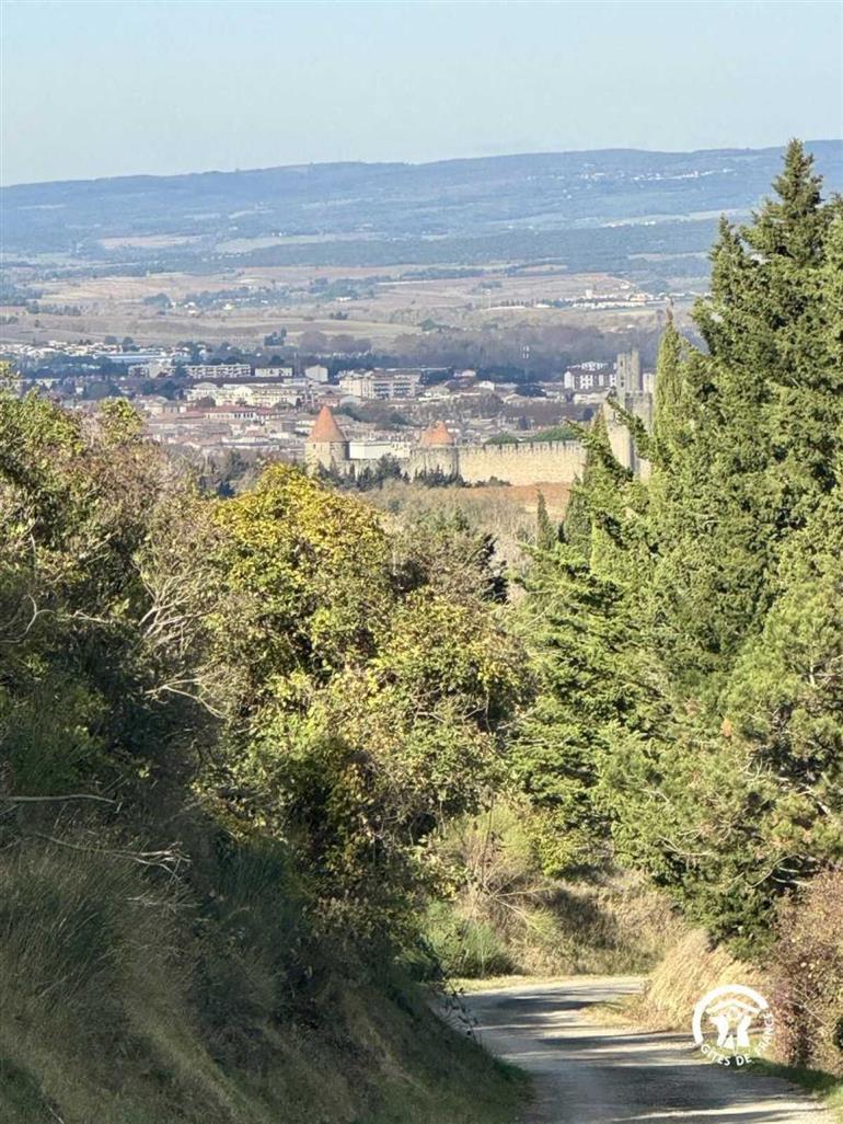 11G900441 Les Ecuries de Sainte-Croix - Céladon_8