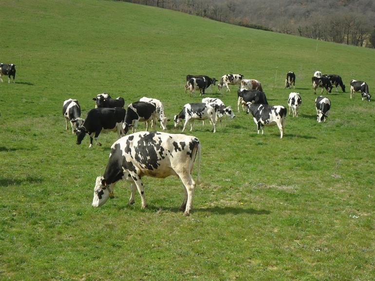FERME DE LA MARG'AUDE
