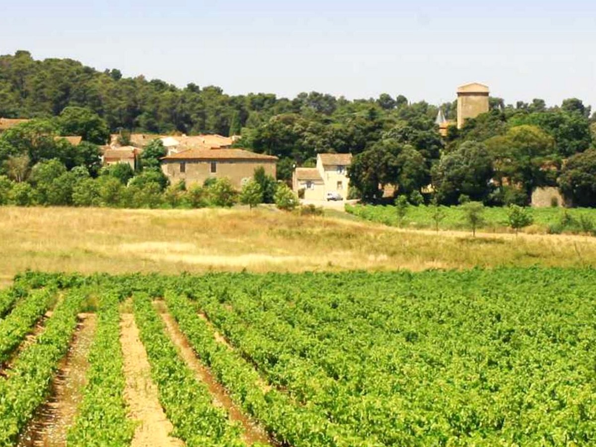 CHATEAU FONTIERS EXT