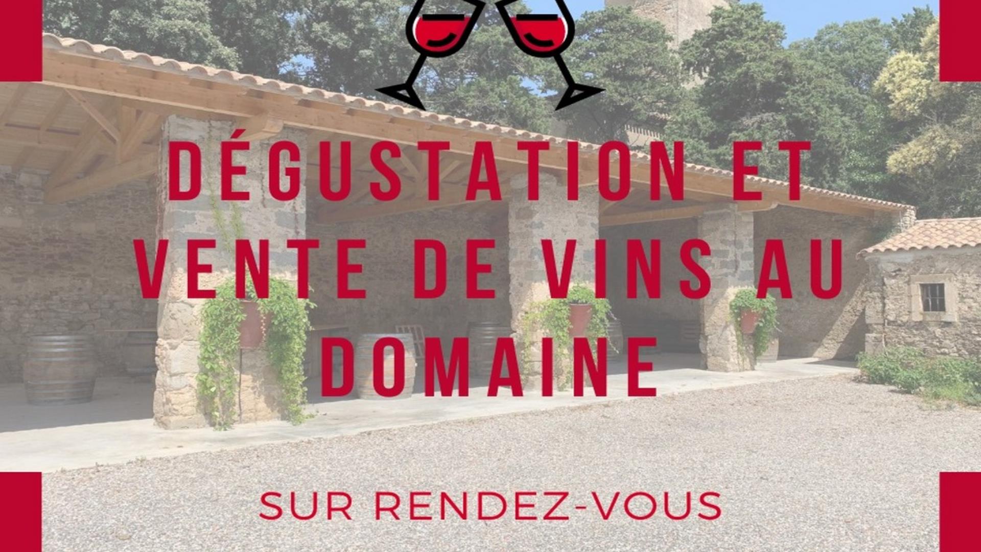 CHATEAU FONTIES