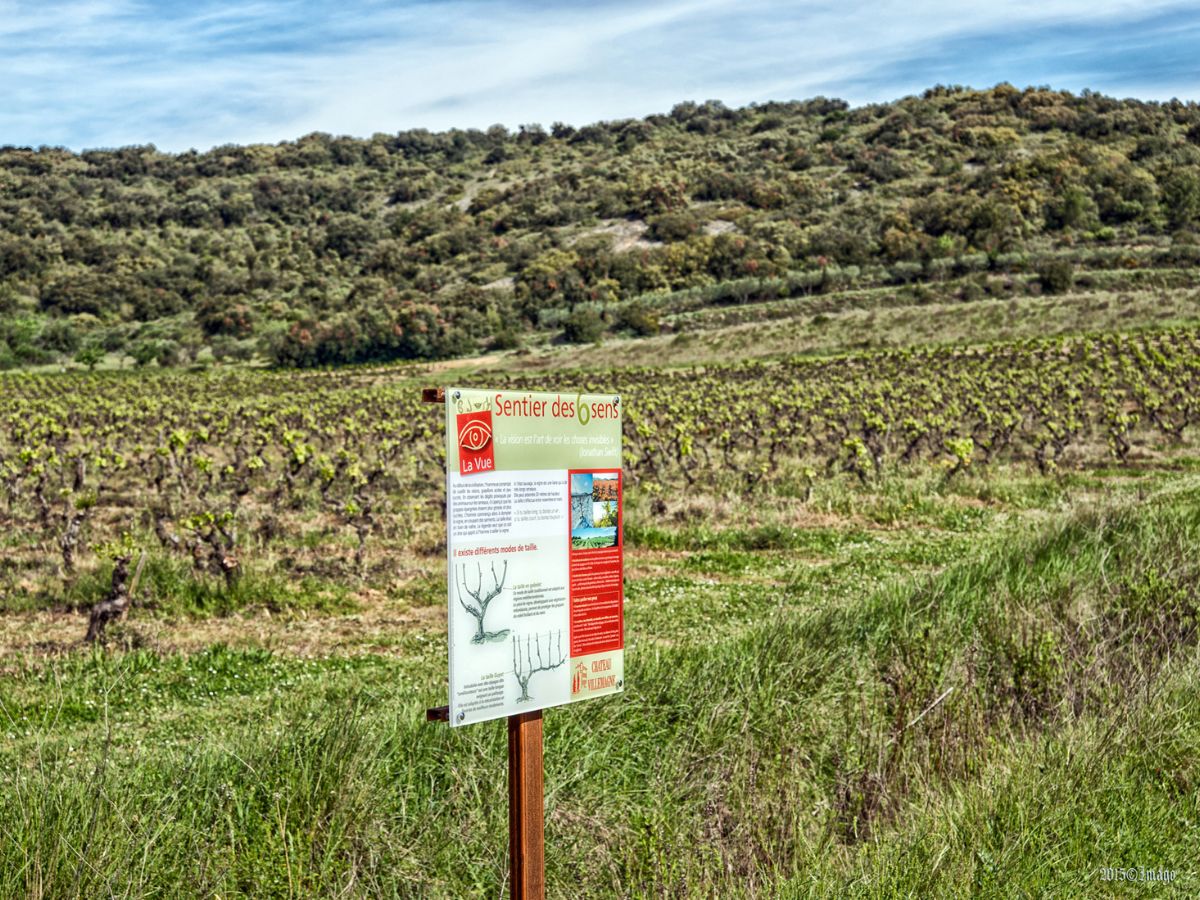 Château Villemagne_Lagrasse (3)