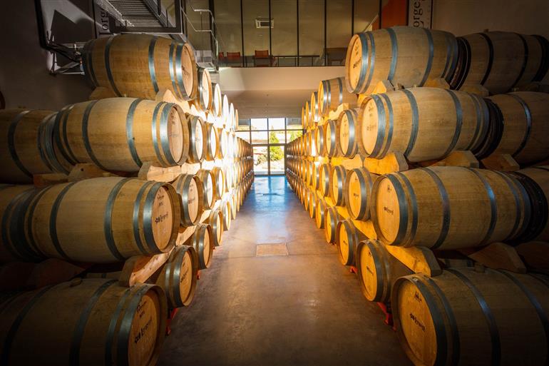 Chateau de Pennautier-Pennautier_1