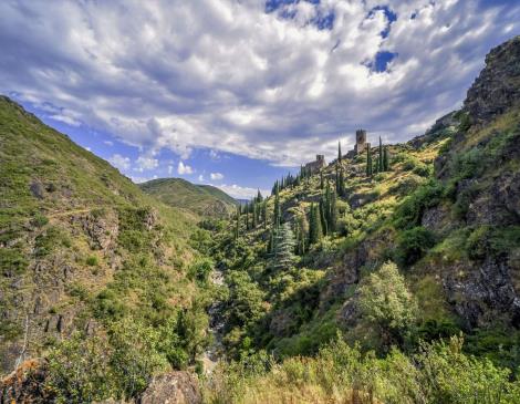 Châteaux de Lastours - La Montagne Noire