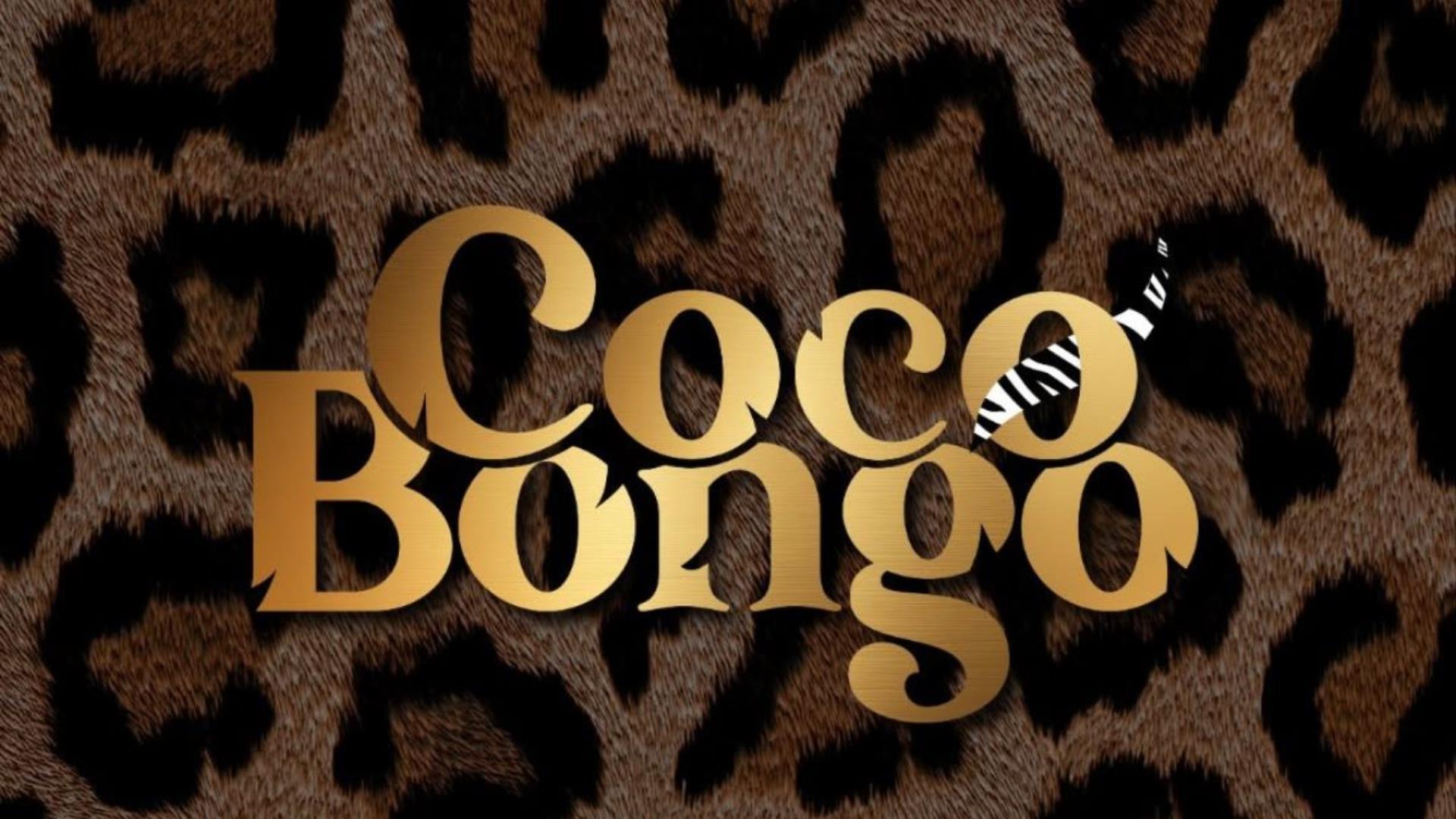 Coco bongo - 1