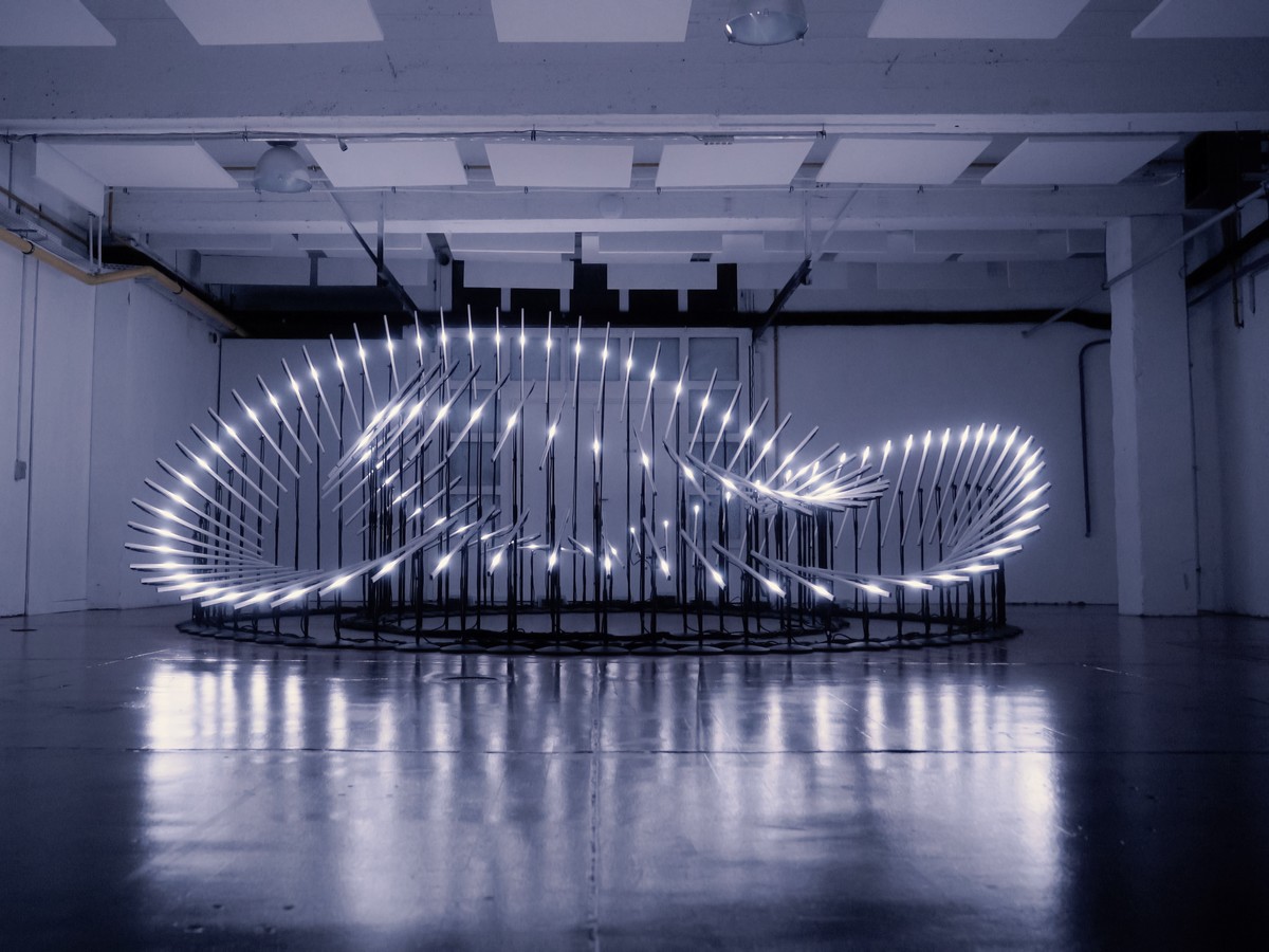 Collectif Scale Ammonite - Magnetic Flow - 2017