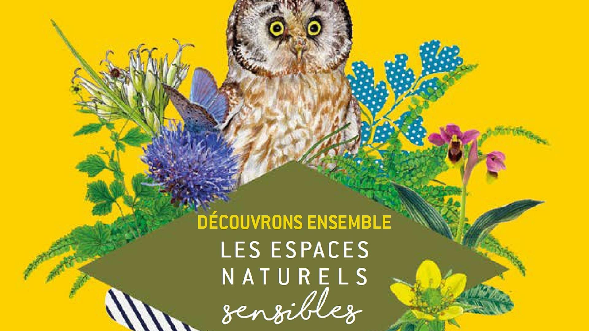 DECOUVRONS-ENSEMBLE-ENS-AUDE