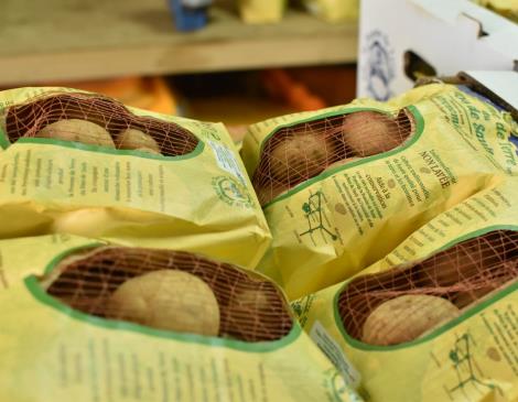 Coopérative du Pays de Sault - pommes de terre