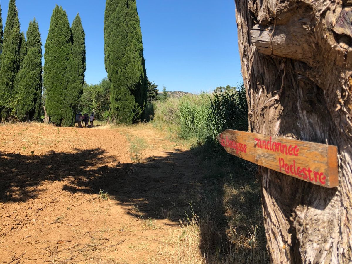 Domaine La Bouysse_2_2026