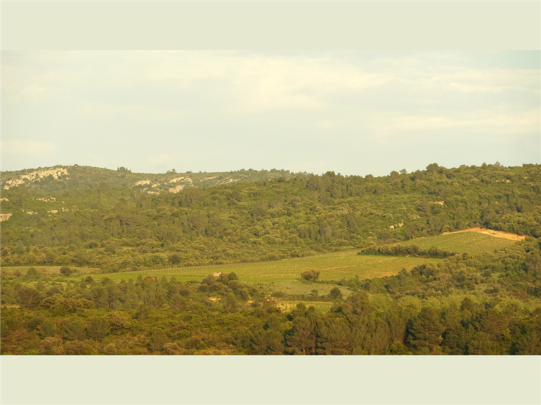 Domaine La Rune