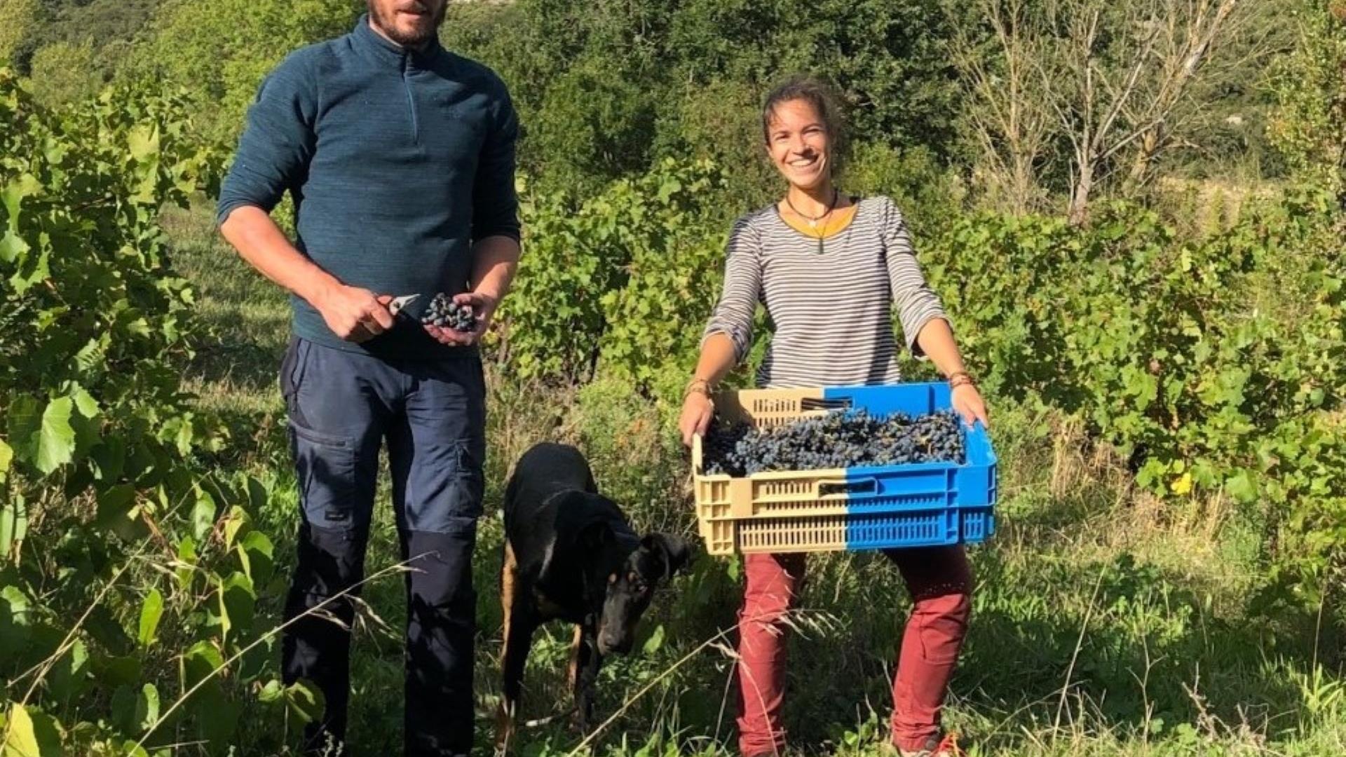 Domaine de Roquenégade3