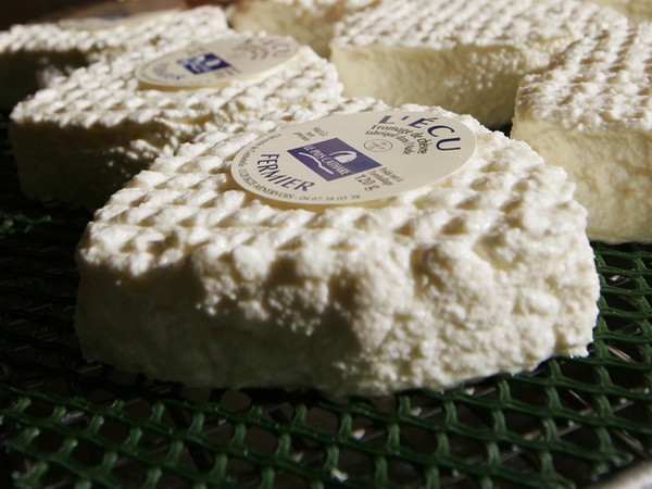 FROMAGERIE CALAS