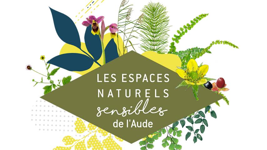 ENS - A LA RECHERCHE DE LA CRAPAUDINE