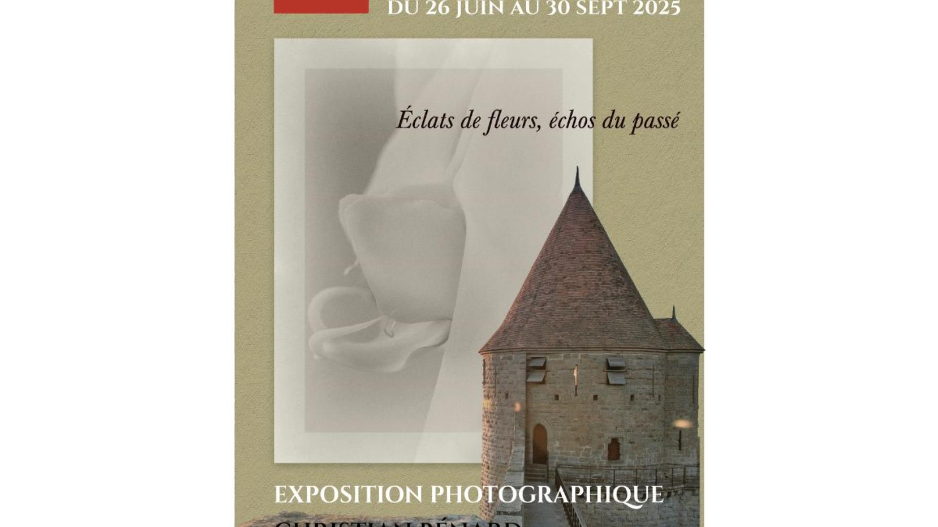 Hôtel Le Donjon Éclats de fleurs, Échos du passé - 1