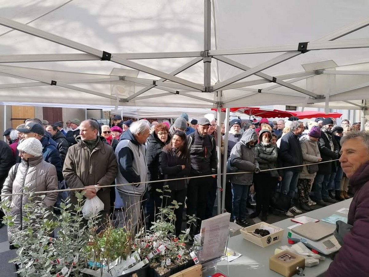 carnaval des saveurs