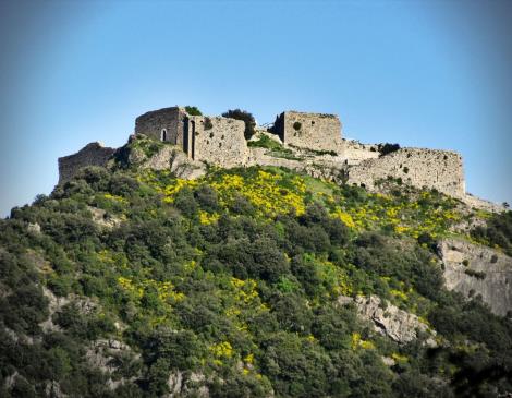 IMG-1139-Chateau-de-Termes-Aude-Pays-Cathare