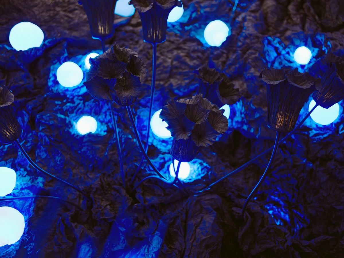 Junior Fritz Jacquet - Fleurs Clichy - 2025