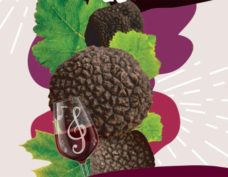 Les Ampélofolies du Cabardès