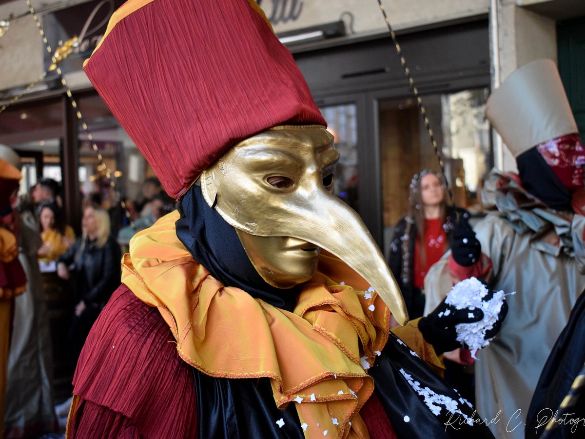 CARNAVAL DE LIMOUX 2025 : 