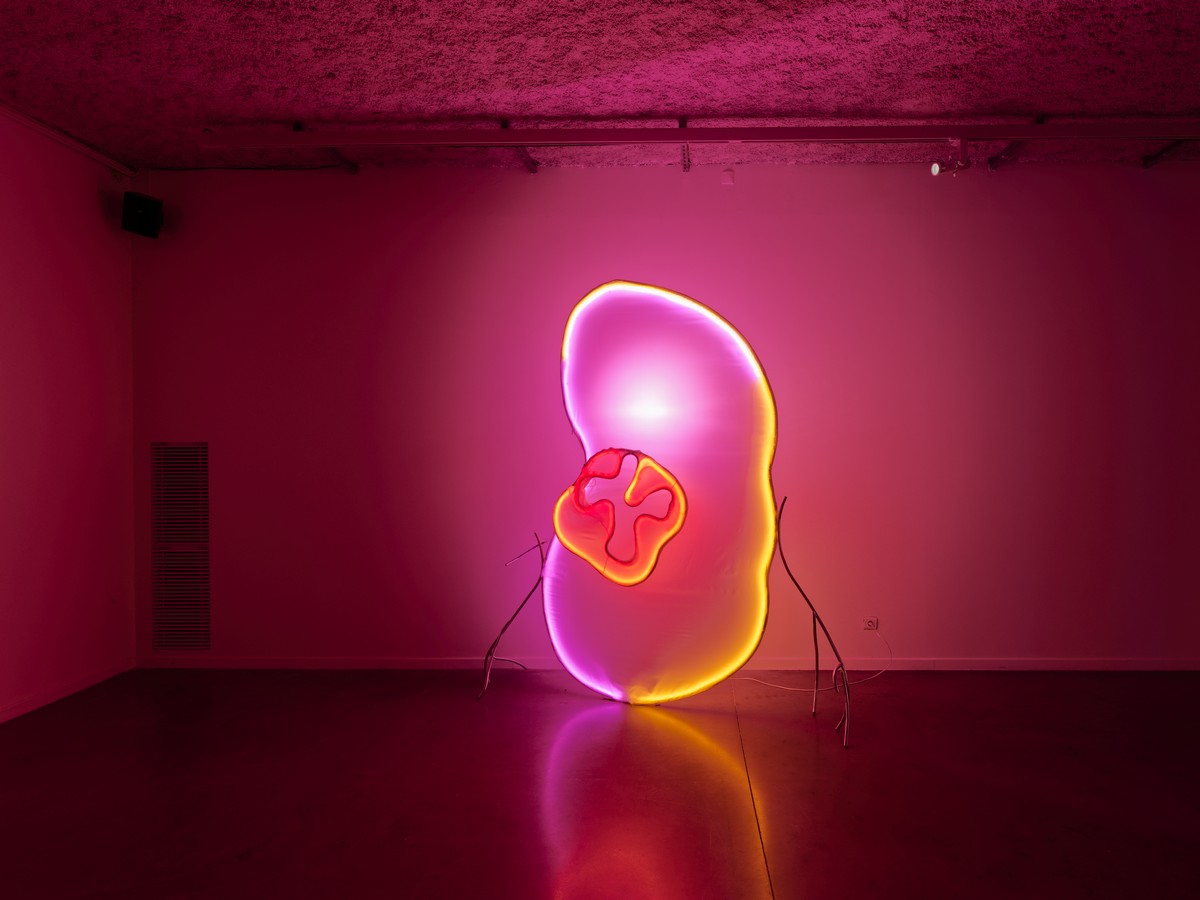 Naomi Maury Exoskeletlight-2023