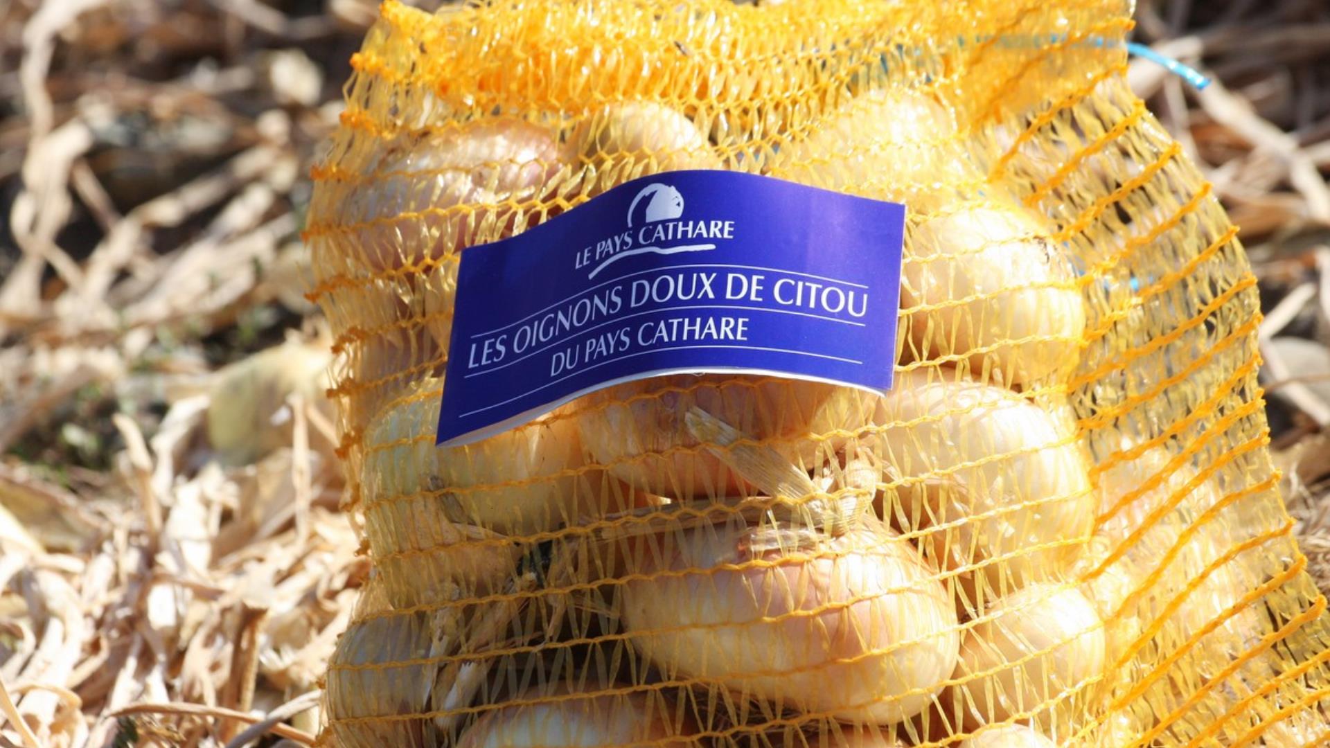 Oignon Chambre Agriculture Aude (4)