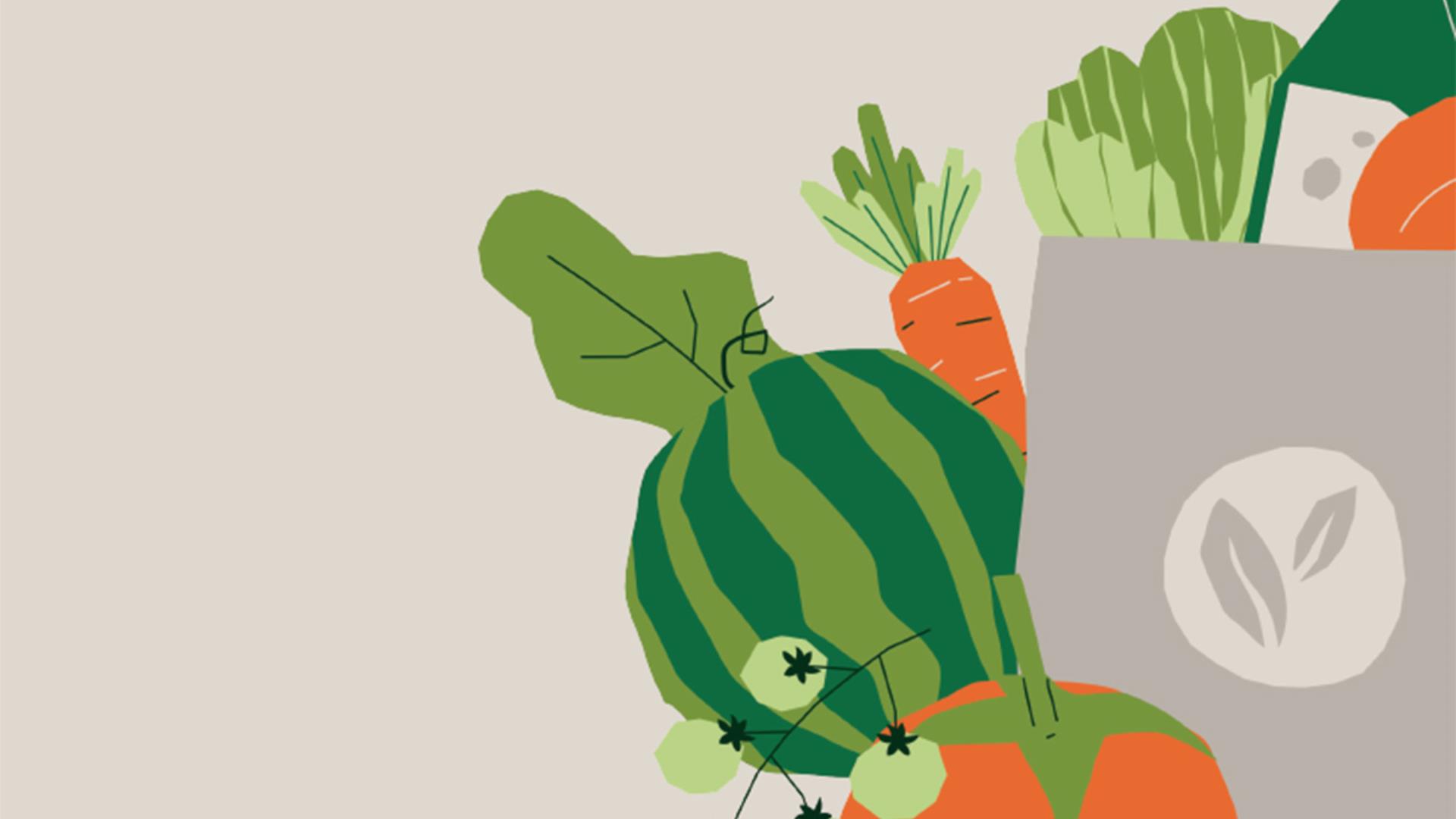 Opticourses - Carcassonne Agglo