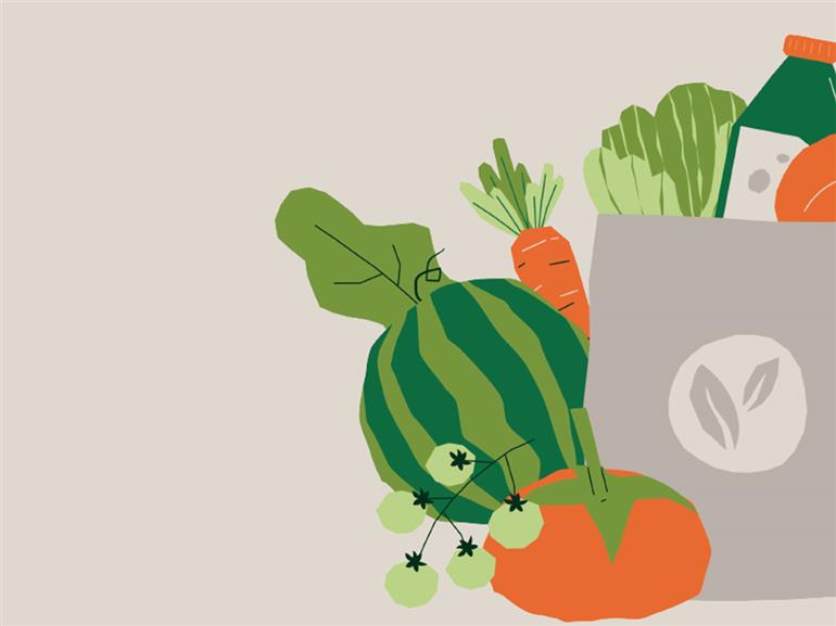 Opticourses - Carcassonne Agglo