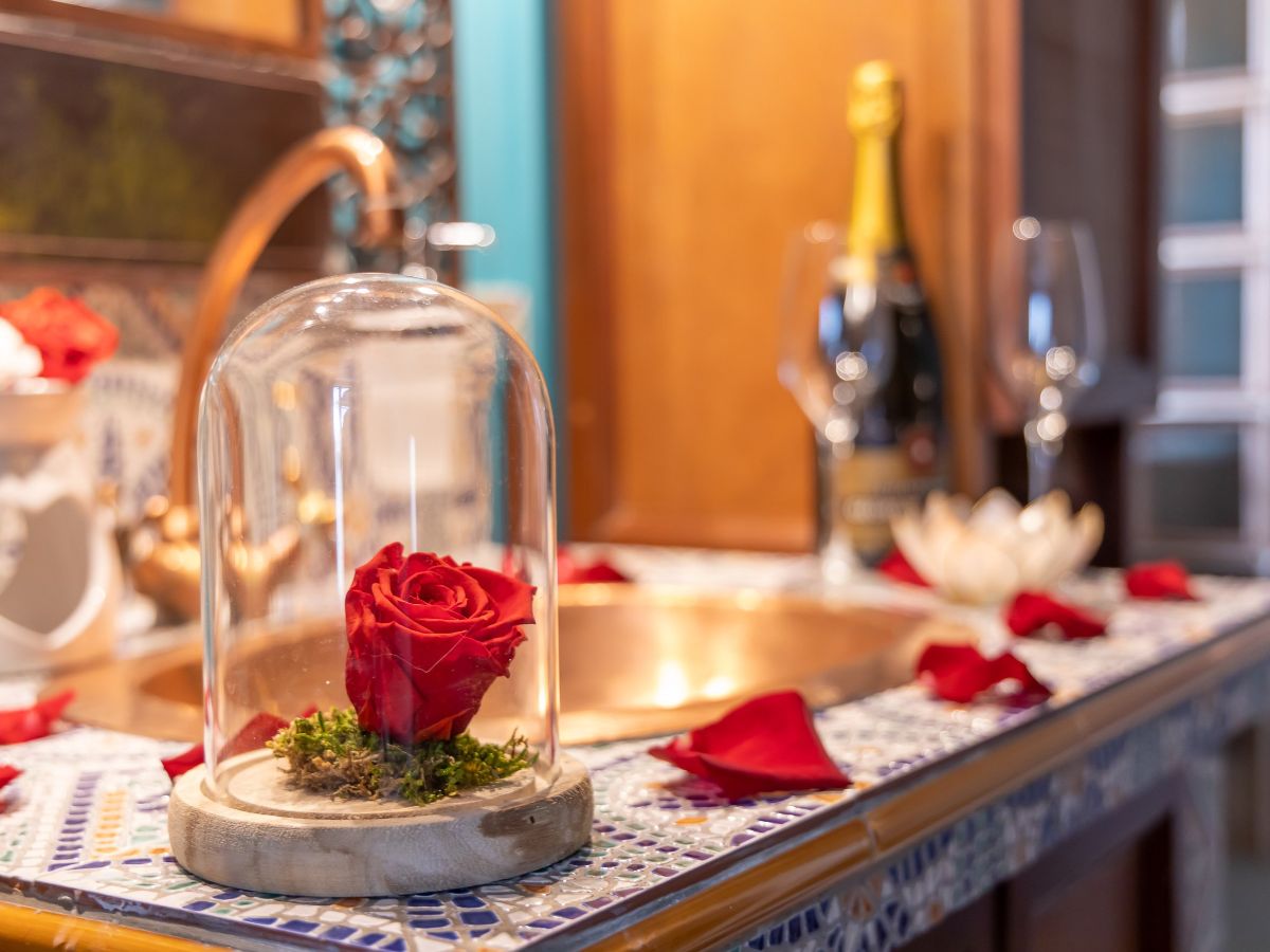 Sans titre - 2022-01-11T161603.137