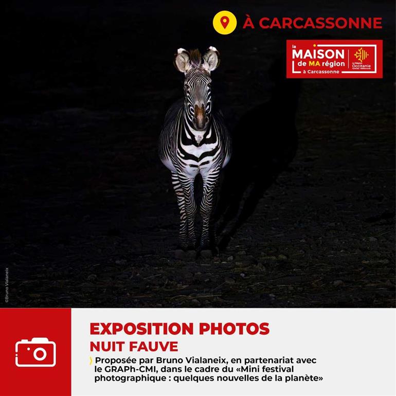 Expo nuit fauve