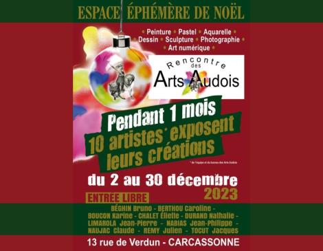espace ephémère arts audois TIS - TIS