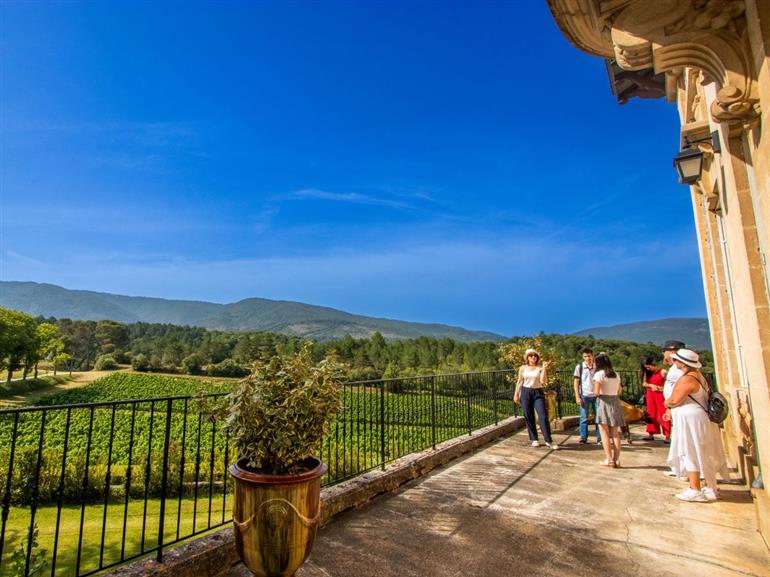 DOMAINE DE BARONARQUES