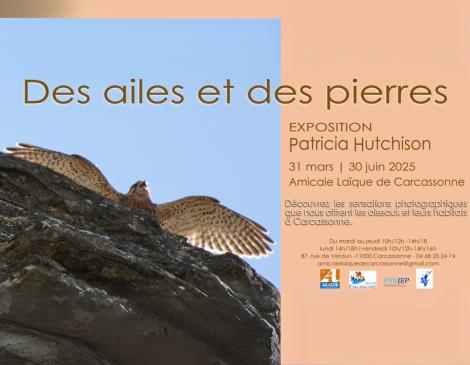 expo des ailes et des pierres - 1