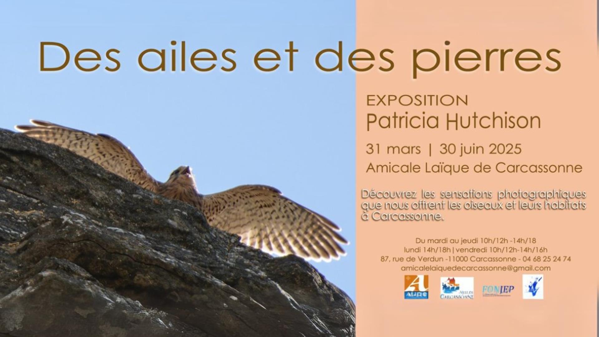 Patricia Hutchison expo des ailes et des pierres - 1