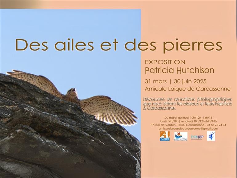 expo des ailes et des pierres - 1