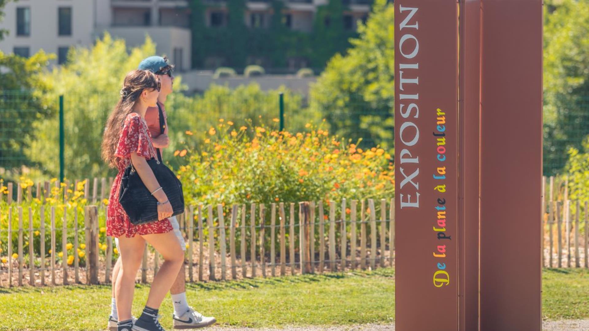 jardin tinctorial de la plante à la couleur - 1