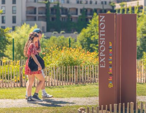 jardin tinctorial de la plante à la couleur - 1