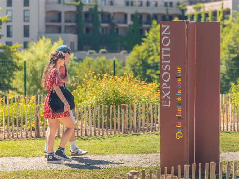jardin tinctorial de la plante à la couleur - 1