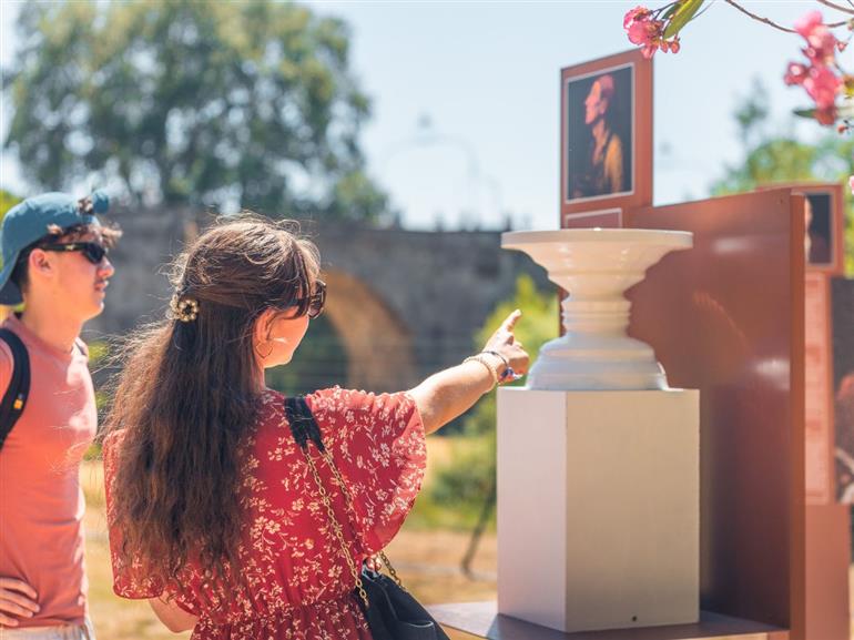 jardin tinctorial de la plante à la couleur - 1