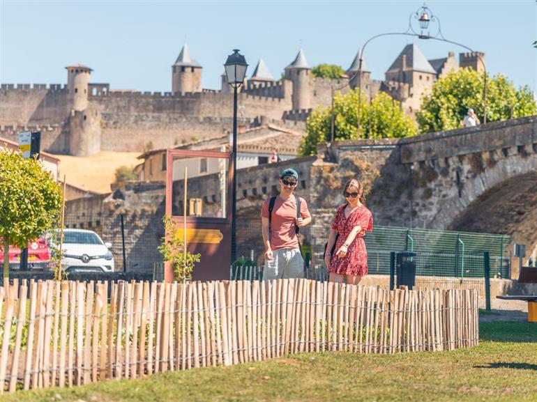 jardin tinctorial de la plante à la couleur - 1
