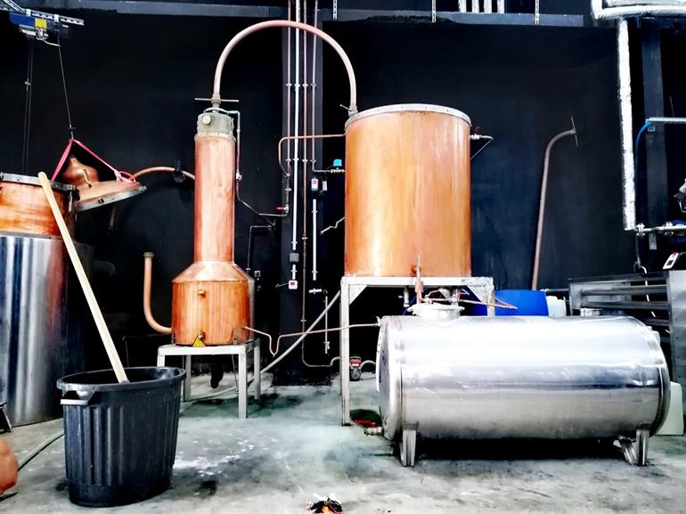 laure-minervois-2024-06-bows-alambic