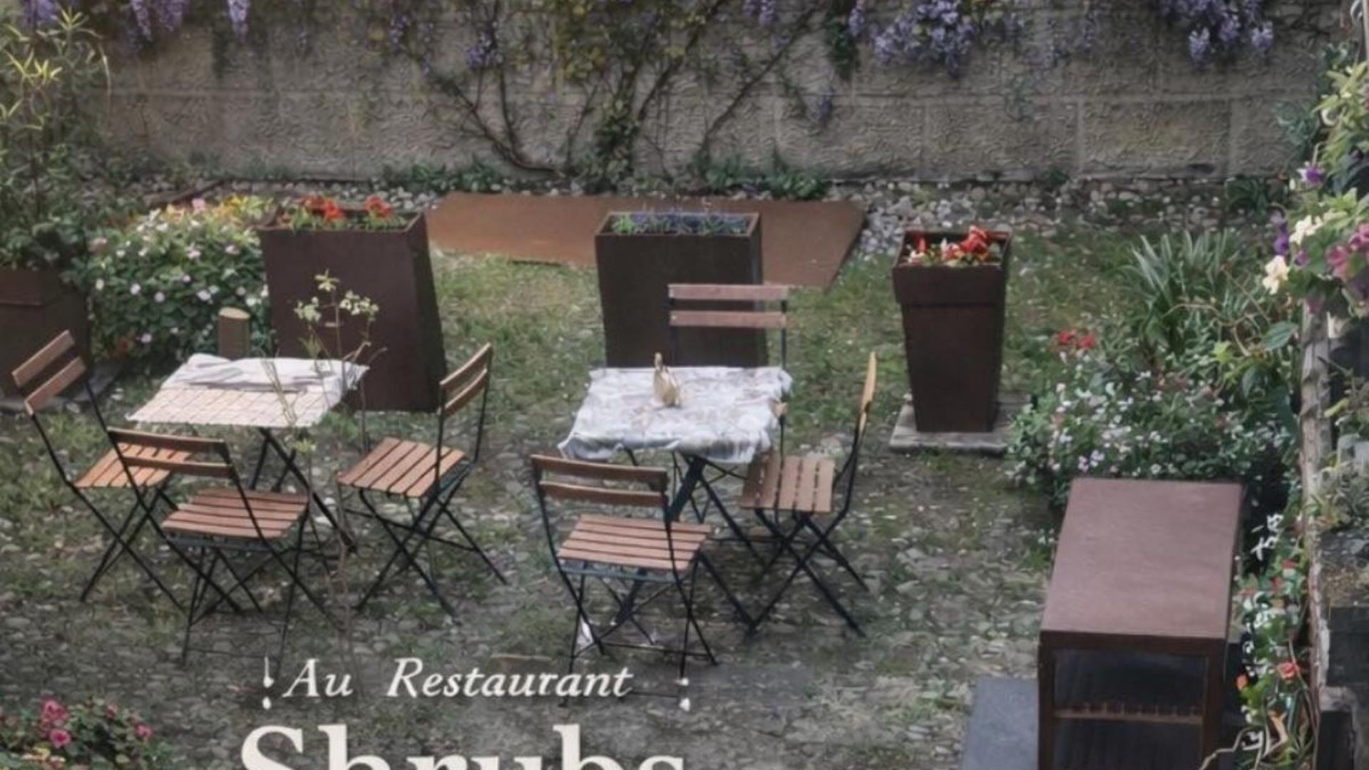 les dimanches du jardin au Shrub's  - 1